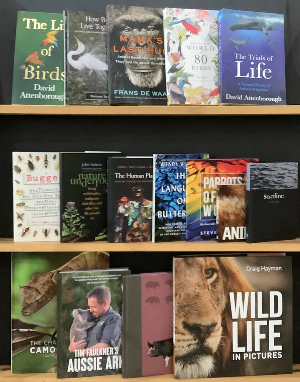 The Animal Kingdom & Nature Bargain Book Box