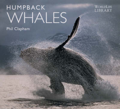 Humpback Whales