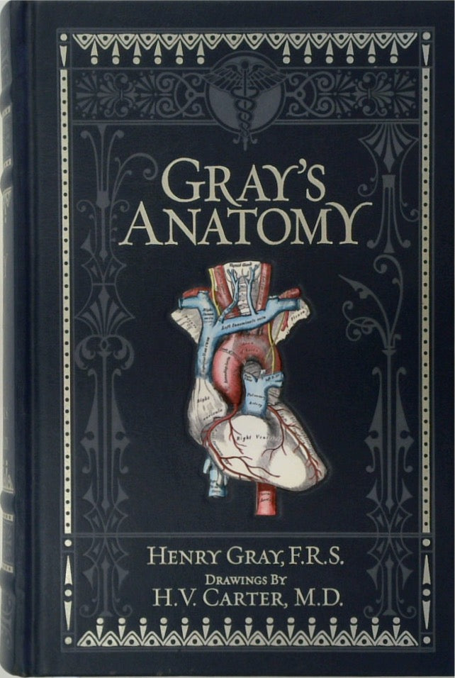 Gray's Anatomy 