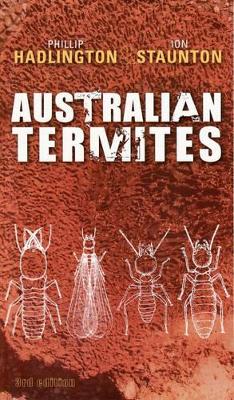 Australian Termites