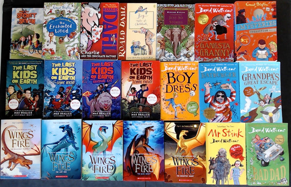 Secondhand Chapter Book Bargain Book Box (Age 8-12) DSH1024