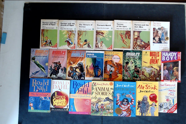 Secondhand Chapter Book Bargain Book Box (Age 8-12) DSH1030
