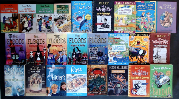 Secondhand Chapter Book (Age 8-12)  Bargain Book Box DSH1056