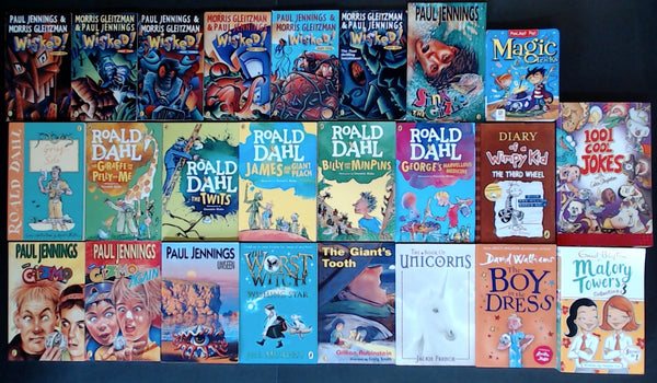 Secondhand Chapter Book (Age 8-12)  Bargain Book Box DSH1093