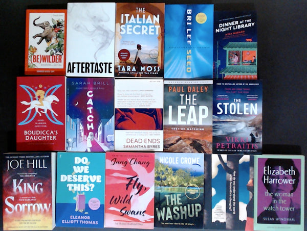 Secondhand Fiction Bargain Book Box DSH1094