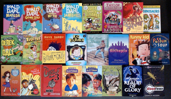 Secondhand Chapter Book (Age 8-12)  Bargain Book Box DSH1095