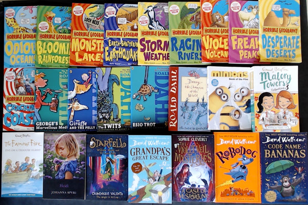 Secondhand Chapter Book (Age 8-12)  Bargain Book Box DSH1101