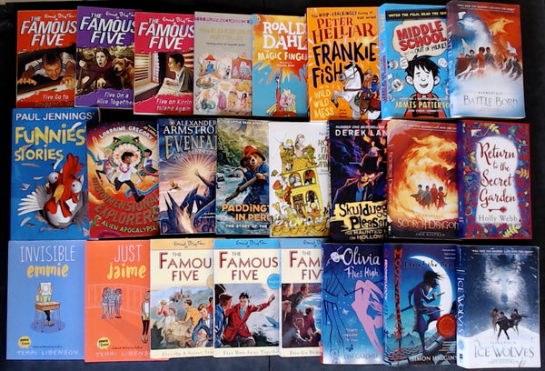 Secondhand Chapter Book (Age 8-12)  Bargain Book Box DSH1103