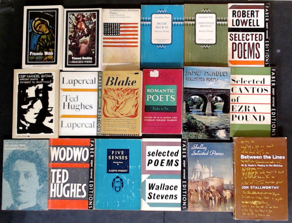 Secondhand Poetry Collection and Literary Studies Bargain Book Box DSH1105