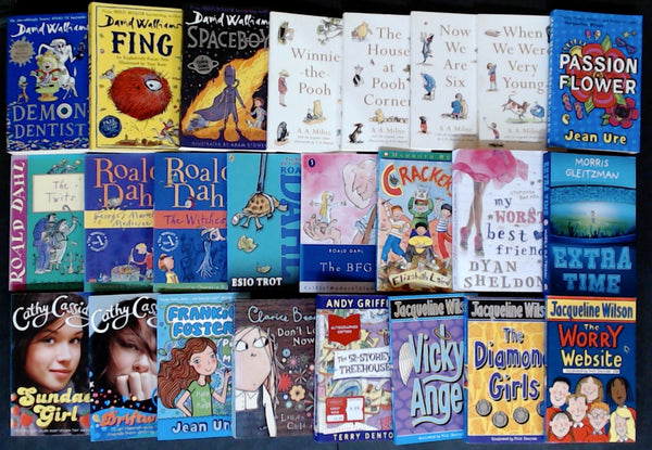 Secondhand Chapter Book (Age 8-12)  Bargain Book Box DSH1116