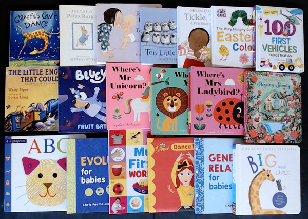 Secondhand Board Book Bargain Book Box DSH1124