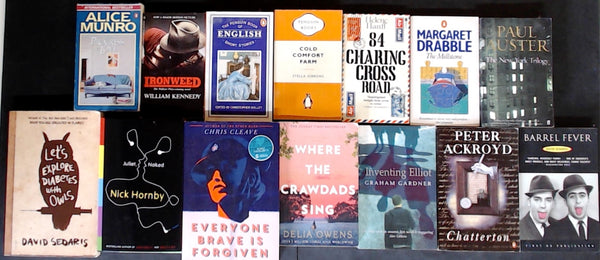 Secondhand Literary Fiction Bargain Book Box DSH1132
