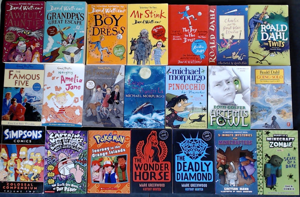 Secondhand Chapter Book Bargain Book Box (Age 8-12) DSH1139
