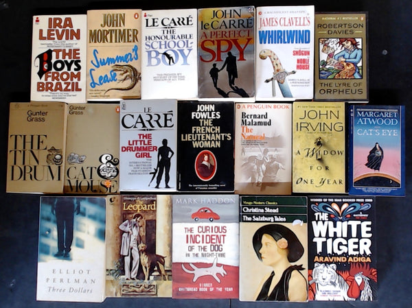 Secondhand Literary Fiction Bargain Book Box DSH1156