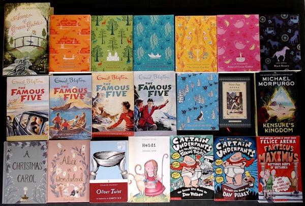 Secondhand Chapter Book (Age 8-12) Bargain Book Box DSH1172