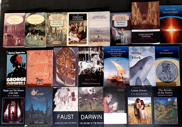 Secondhand Classics Bargain Book Box DSH1191