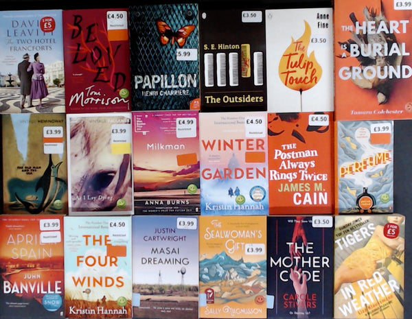 Showroom Sample Fiction Bargain Book Box DSH990