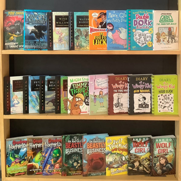 Secondhand Chapter Book (Age 7-12) Bargain Book Box (25 Books) DSH456