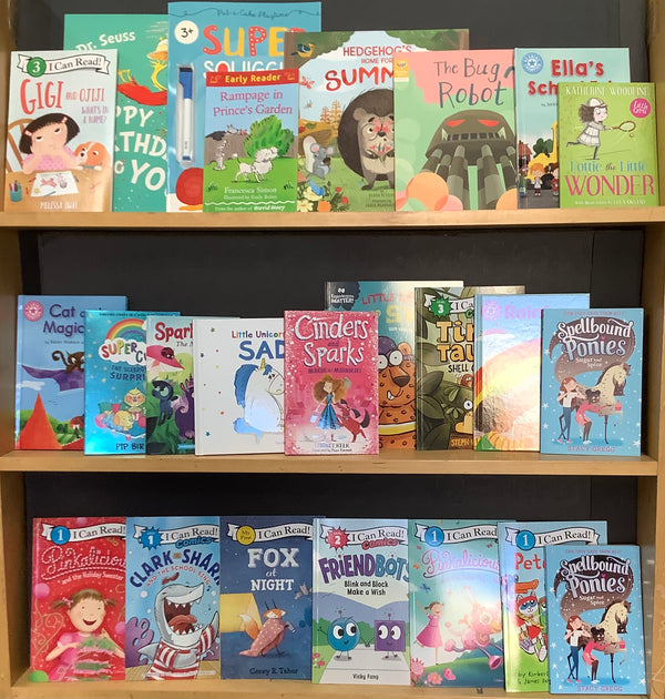 Early Learning Reader, Phonics & Writing Bargain Book Box