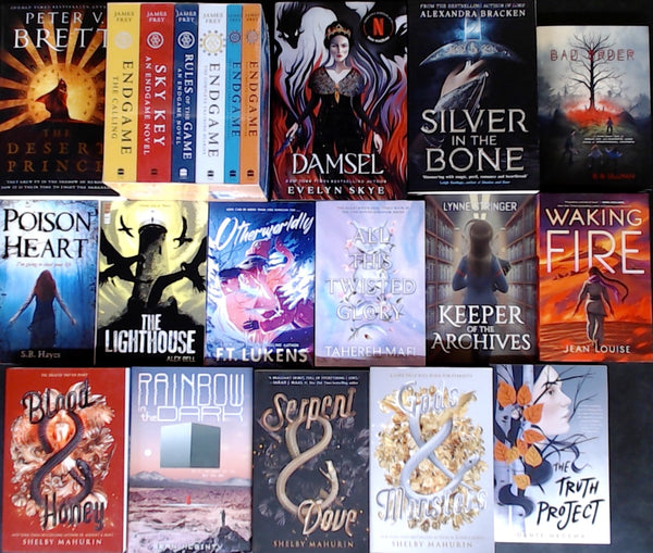 Enchanted Journeys Young Adult Bargain Book Box