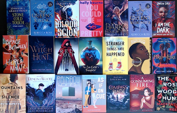 Page-Turner Bargain Book Box for Teens