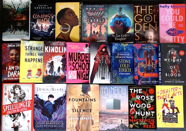 Page-Turner Bargain Book Box for Teens