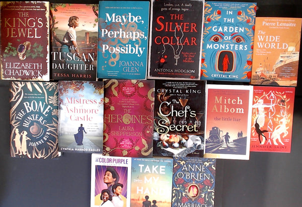 Historical Fiction Bargain Book Box