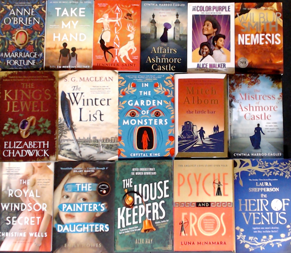 Historical Fiction Bargain Book Box