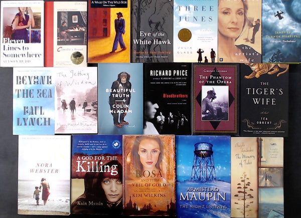 Secondhand Fiction Bargain Book Box SP2149
