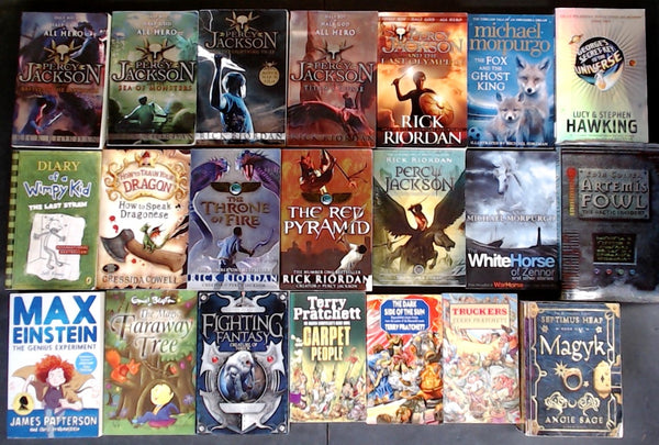 Secondhand Chapter Book (Age 8-12) Bargain Book Box SP2199