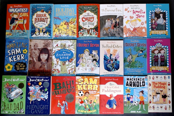 Secondhand Chapter Book (Age 8-12) Bargain Book Box SP2211