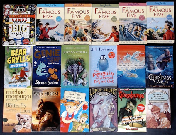 Secondhand Chapter Book (Age 8-12) Bargain Book Box SP2212