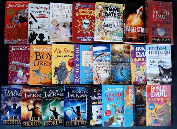 Secondhand Chapter Book (Age 8-12) Bargain Book Box SP2229