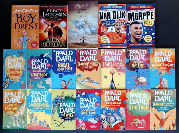 Secondhand Chapter Book (Age 8-12)  Bargain Book Box SP2239