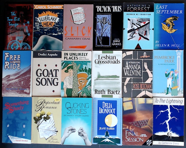 Secondhand Lesbian Fiction Bargain Book Box SP2243