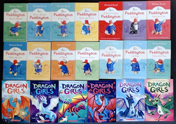 Secondhand Chapter Book (Age 8-12)  Bargain Book Box SP2254