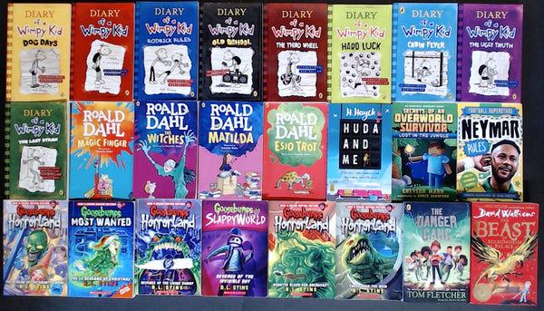 Secondhand Chapter Book (Age 8-12)  Bargain Book Box SP2258