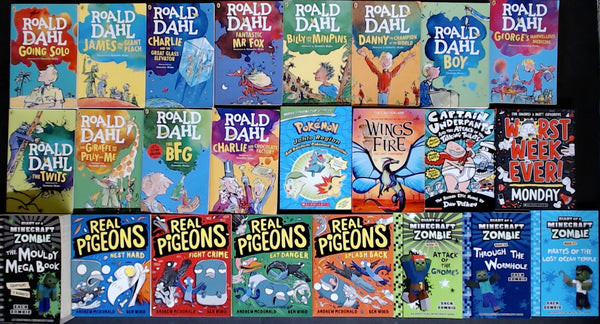 Secondhand Chapter Book (Age 8-12)  Bargain Book Box SP2261