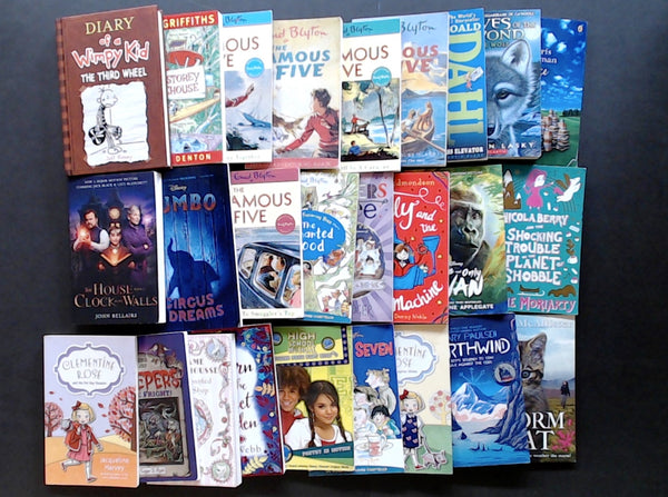 Secondhand Chapter Book (Age 8-12)  Bargain Book Box SP2263