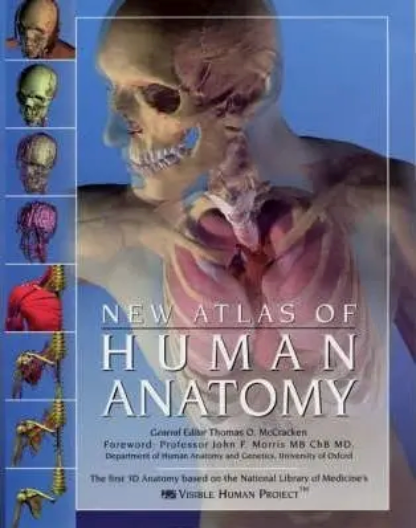 New Atlas of Human Anatomy