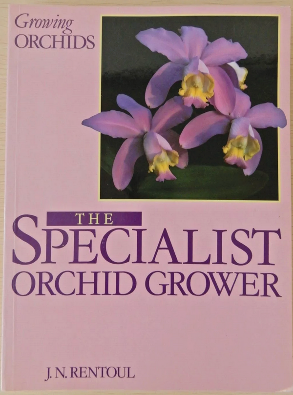 Growing Orchids: Specialist Orchid Grower