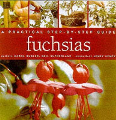 FUCHSIAS STEP BY STEP