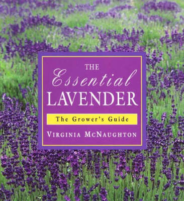 Essential Lavendar