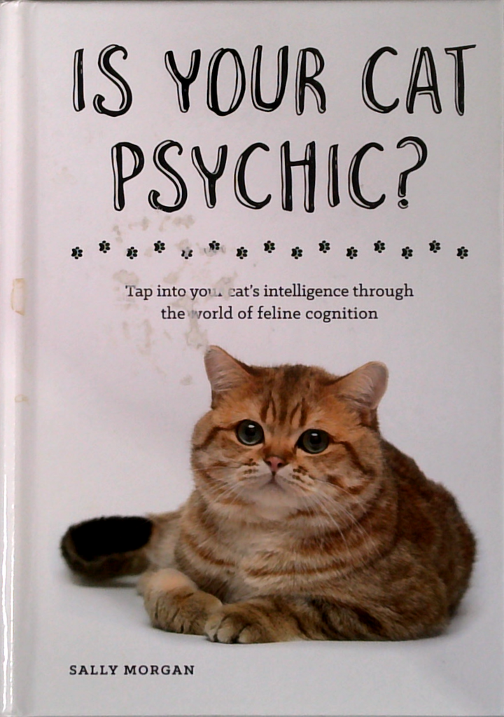 Is Your Cat Psychic?