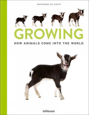 Growing: How animals come into our world