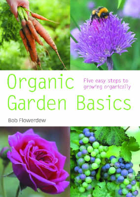 Organic Gardening Basics (Pyramid PB)
