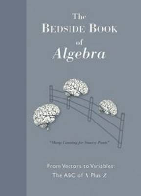 The Bedside Book of Algebra