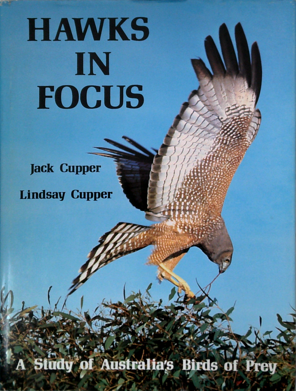 Hawks In Focus: A Study Of Australia's Birds Of Prey