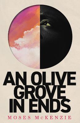 An Olive Grove in Ends: The dazzling debut novel about love, faith and