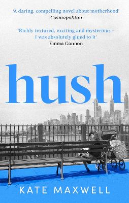 Hush: The heartbreaking and life-affirming debut novel which tells the truth about motherhood